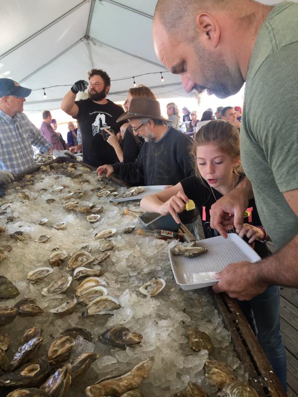 Pemaquid Oyster Fest Fan shucking tastic! Boothbay Register